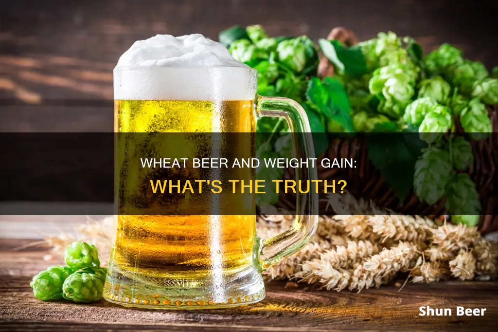 is wheat beer fattening