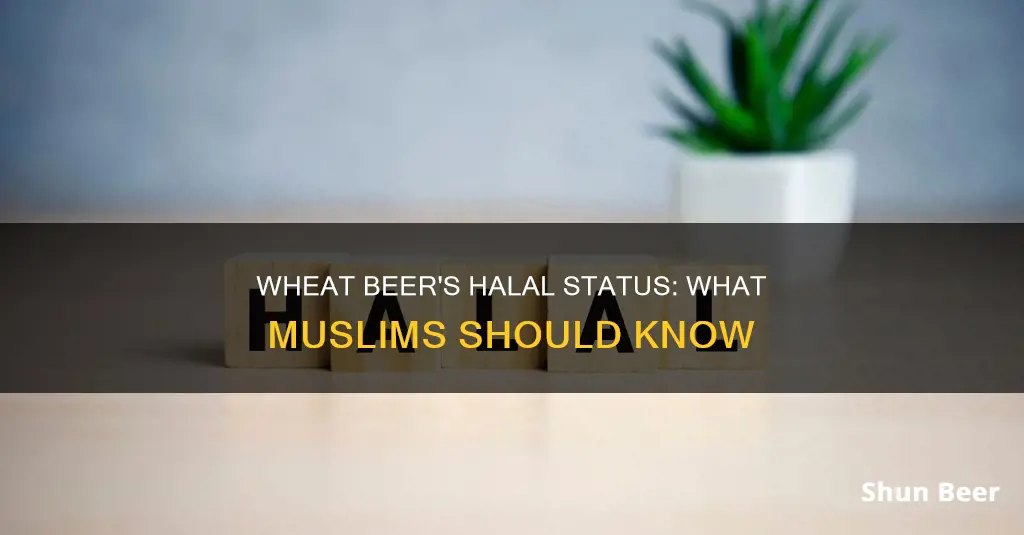 is wheat beer haram