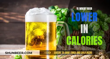 Wheat Beer: Low-Calorie Alternative or Myth?