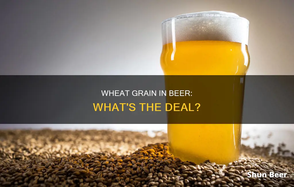 is wheat grain in beer