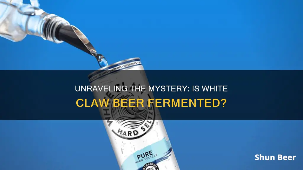 is white claw beer fermented