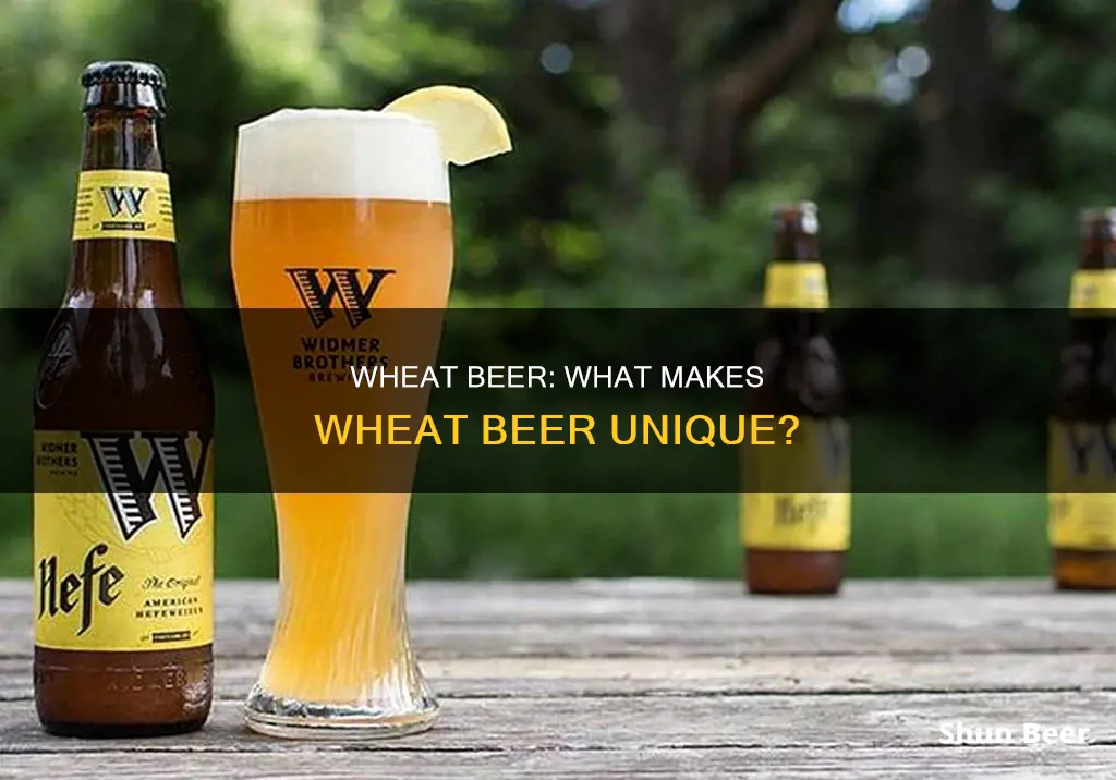 is wt a wheat beer