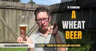 Yeungling Beer: Wheat or Not?