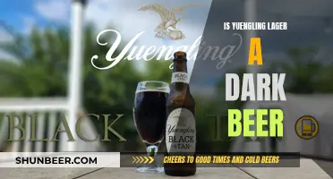 Is Yuengling Lager Dark? Unveiling the Truth