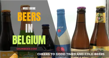 Belgian Beers: The Ultimate Must-Try List