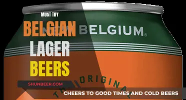 Uncover Belgium's Best: A Lager Lover's Guide to Must-Try Brews