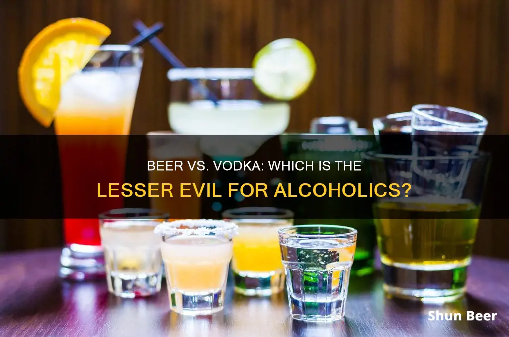 should an alcoholic drink beer or vodka