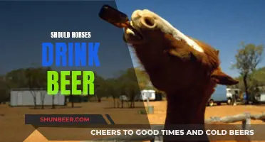 Horses and Beer: A Dangerous Cocktail?