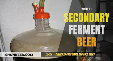 Unlocking Flavor: Exploring Secondary Fermentation's Magic in Beer