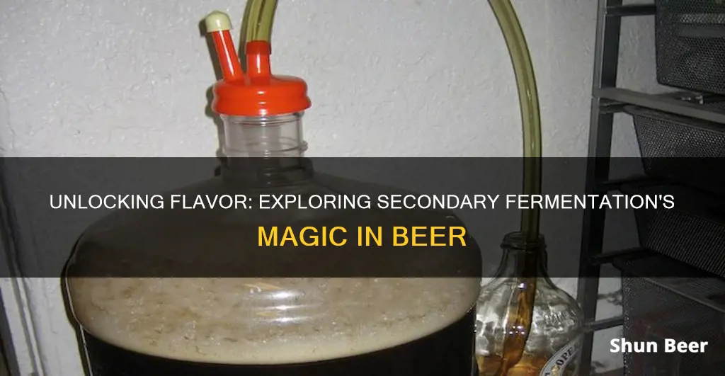 should i secondary ferment beer