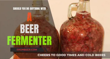 Unleash Your Inner Brewer: 5 Creative Uses for Your Beer Fermenter