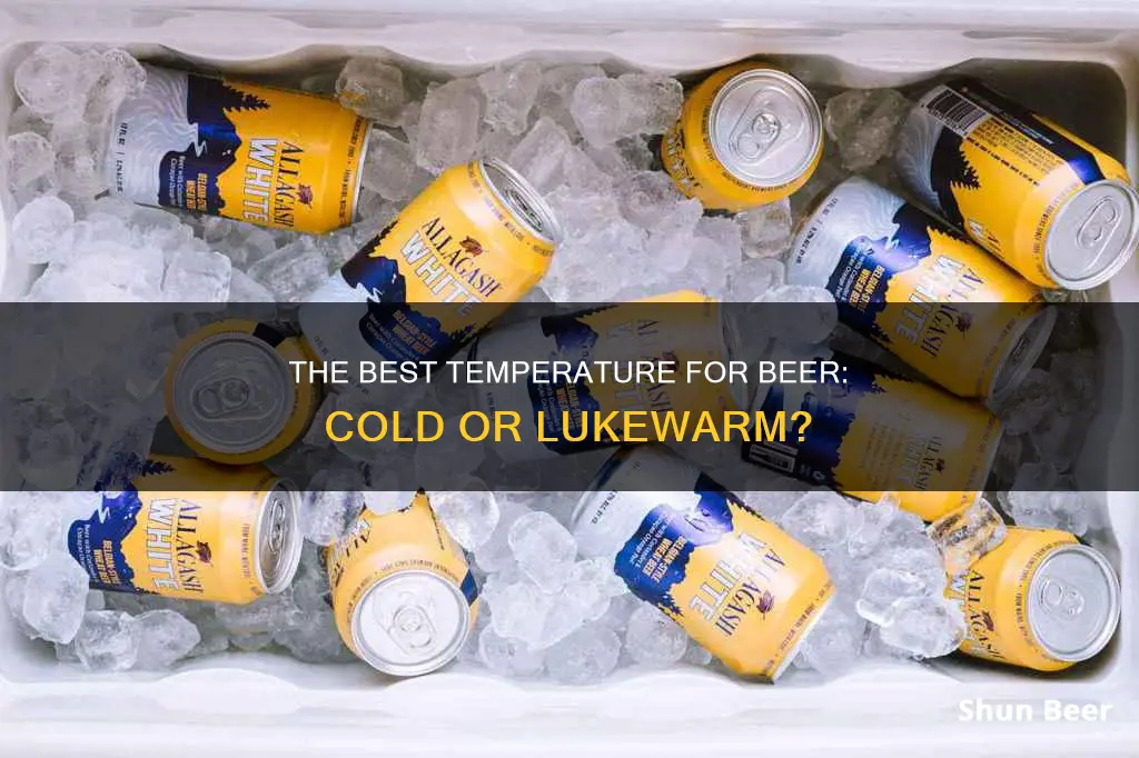 should you drink beer cold or luke warm