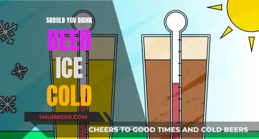 Beer Connoisseurs: Ice-Cold or Chilled?