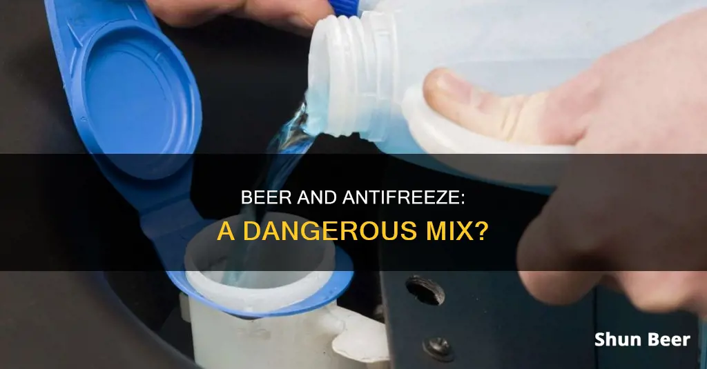 should you drink beer if you ingest a little antifreeze