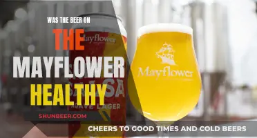 Beer on the Mayflower: A Healthy Choice?