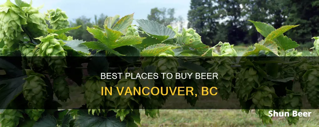 were to buy beer in vancouver bc