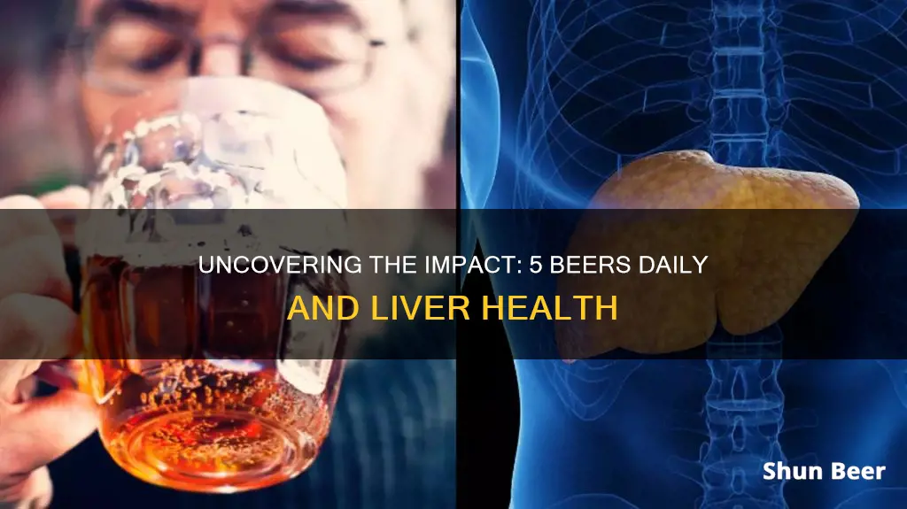 what 5 beers a day does to the liver