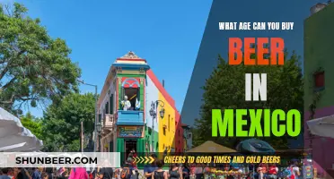 Beer Buying Age in Mexico: Legal Drinking Limit