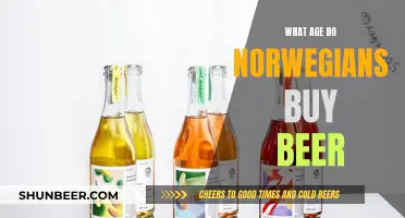 The Legal Drinking Age in Norway: Beer Buying Laws