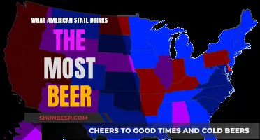 Beer-Loving Americans: Which State Drinks the Most?