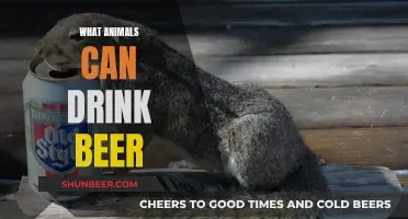 Animals That Can Drink Beer: A Surprising List