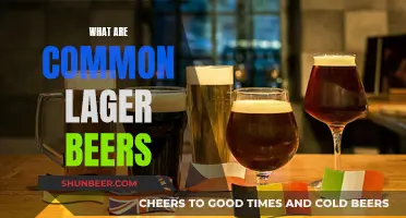 Exploring the World of Lagers: A Guide to Common Varieties