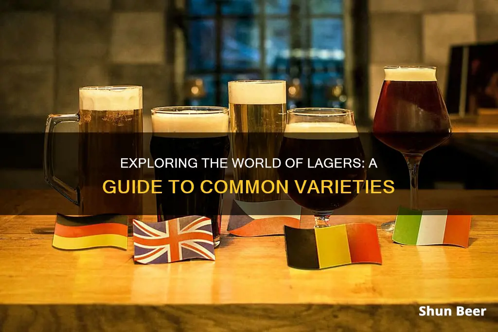 what are common lager beers