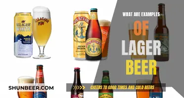 Exploring the World of Lagers: Top 5 Examples and Their Unique Flavors