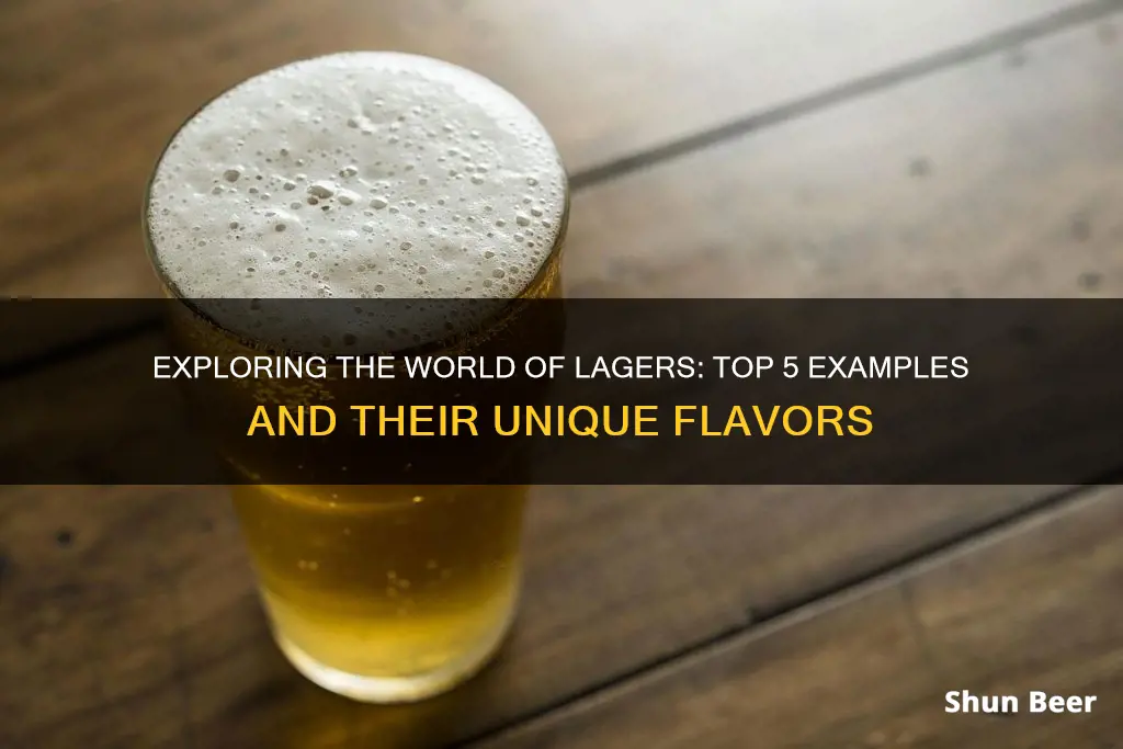 what are examples of lager beer