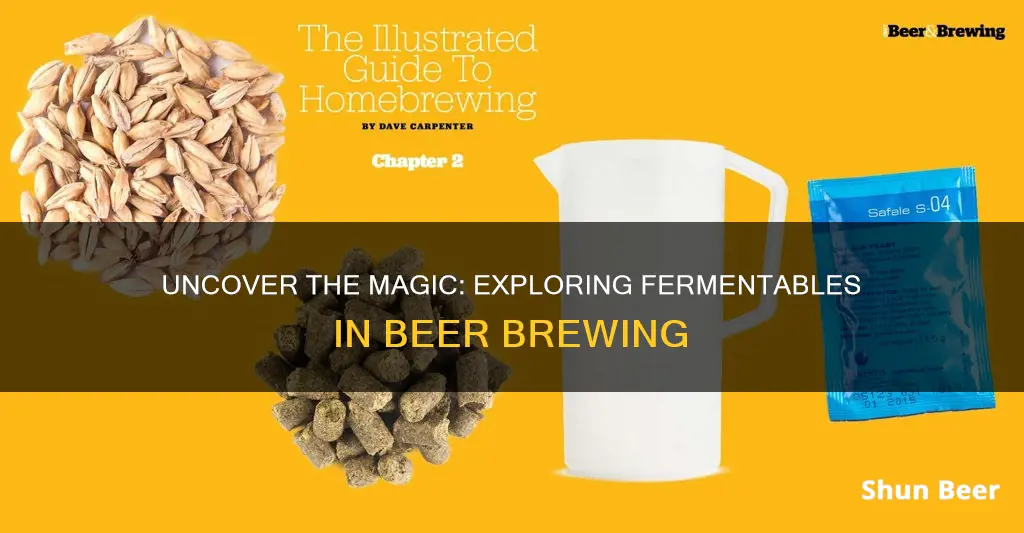 what are fermentables in beer