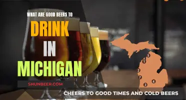 Michigan's Best Beers: A Local's Guide to Drinking Well