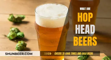 Hop Head Beers: A Guide to Bitter Brews