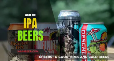 Explore the World of IPA Beers and Their Unique Taste