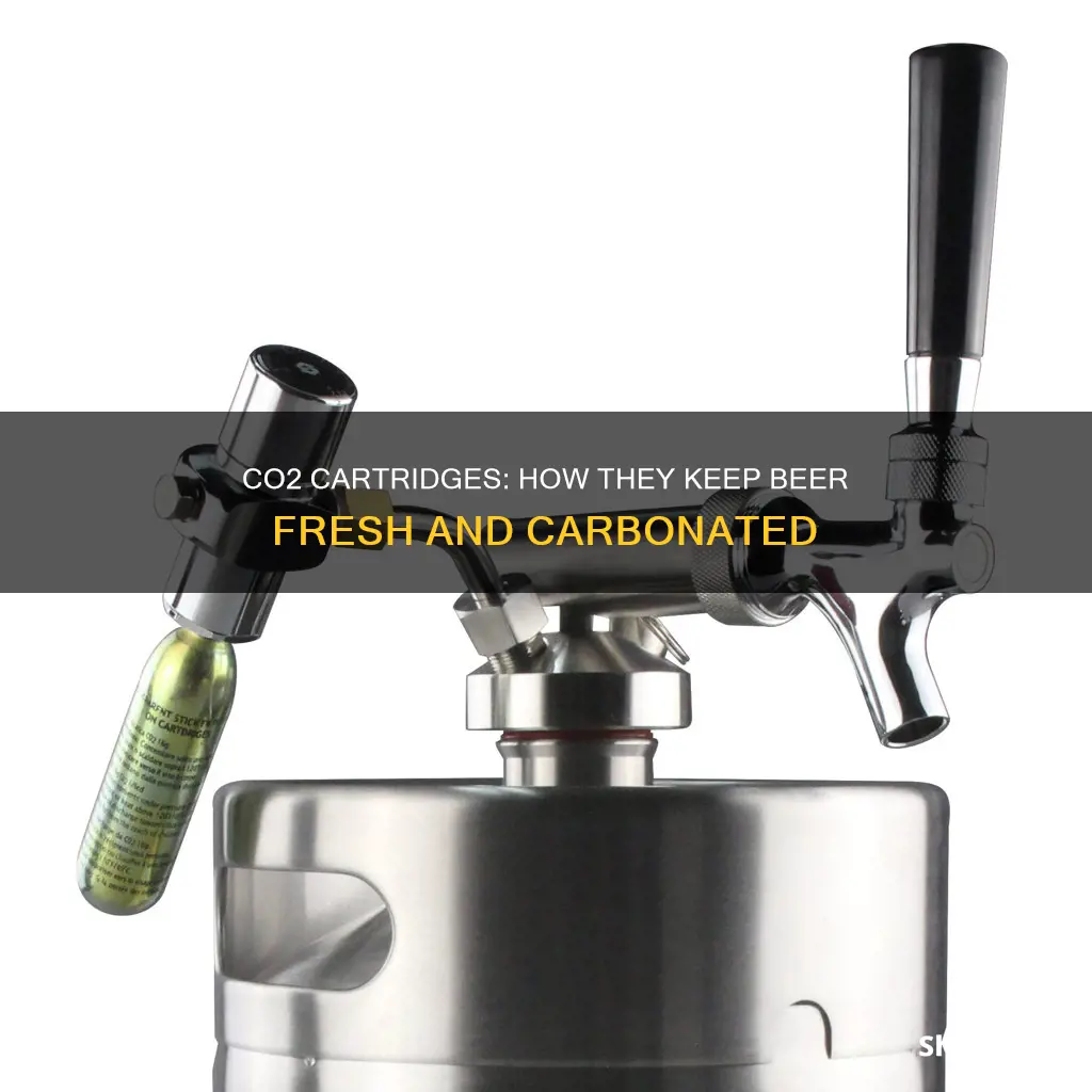 what are small co2 cartridges work for beer