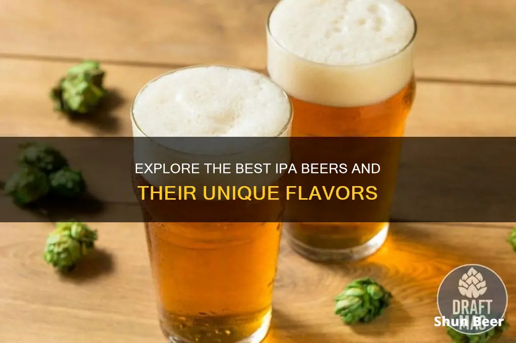 what are some examples of ipa beers