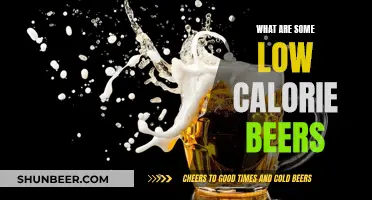 Low-Calorie Beer Options for the Health-Conscious Drinker