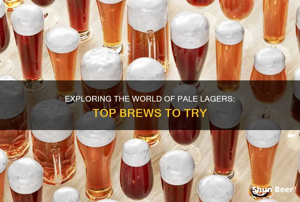 what are some pale lager beers