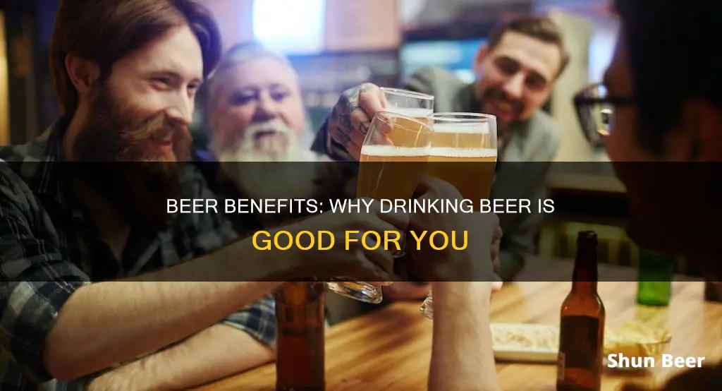 what are the advantages of drinking beer