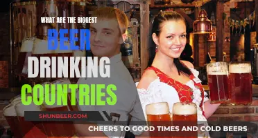 Beer-Loving Countries: Top Global Consumers