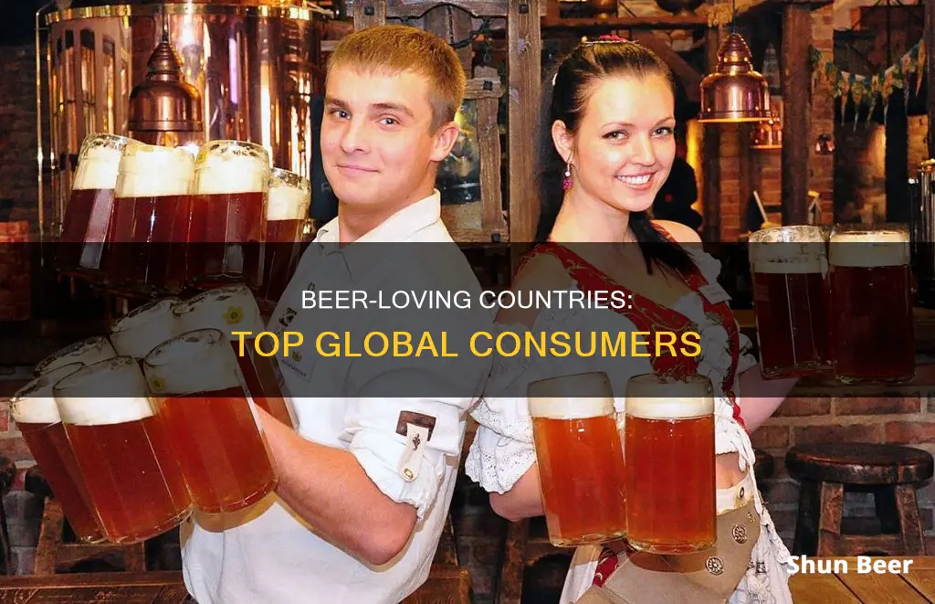 what are the biggest beer drinking countries