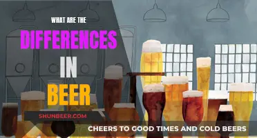 Explore Beer Diversity: Styles, Tastes, and Brewing Secrets