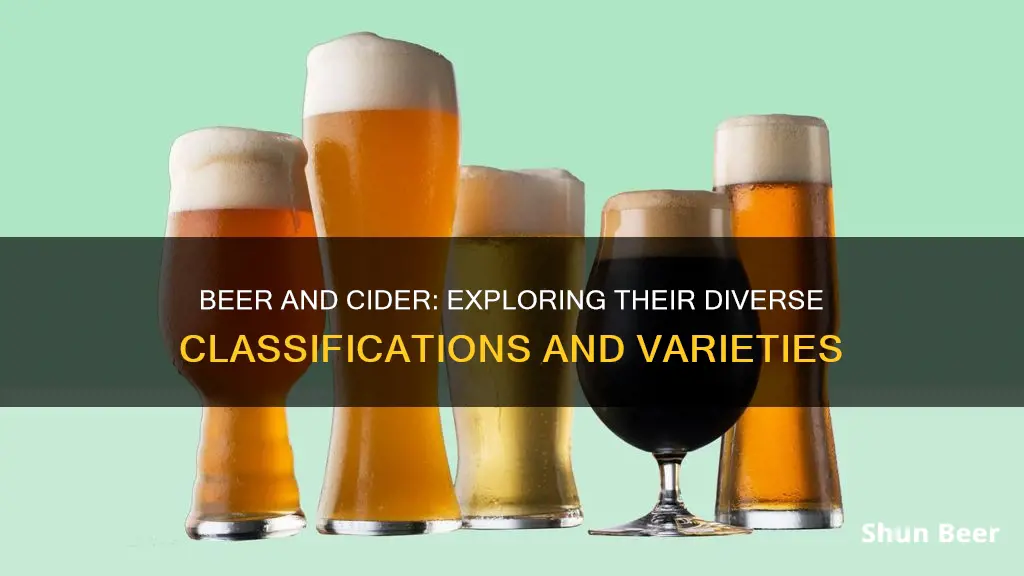 what are the different classifications of beer cider