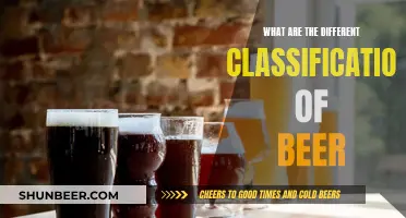 Explore Beer's Diverse World: Styles and Classifications Unveiled