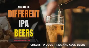 Explore the Diverse World of IPA Beers