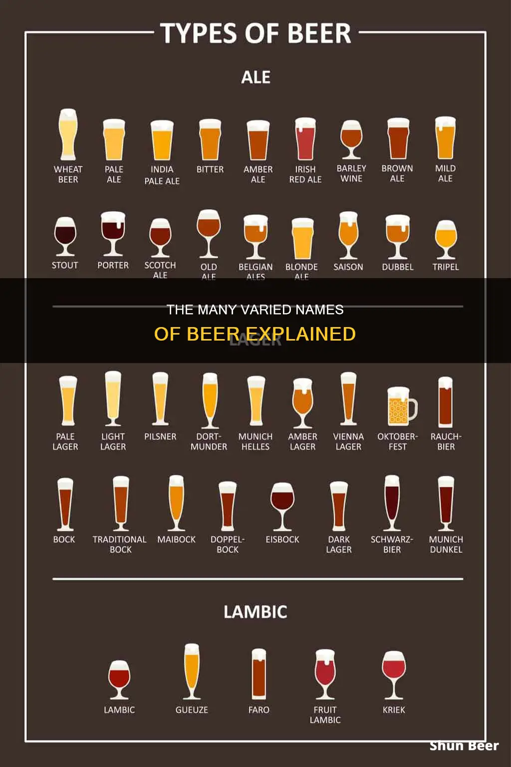 what are the different names of beer