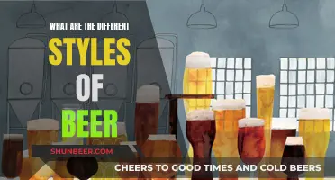 Explore the Diverse World of Beer Styles