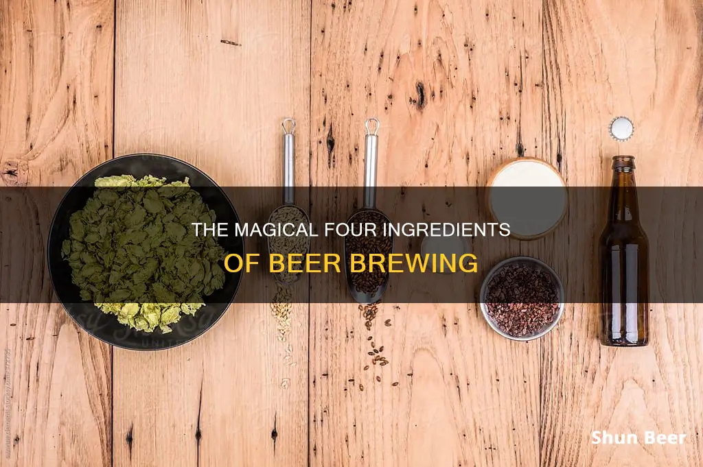 what are the four ingredients of beer hops barley water