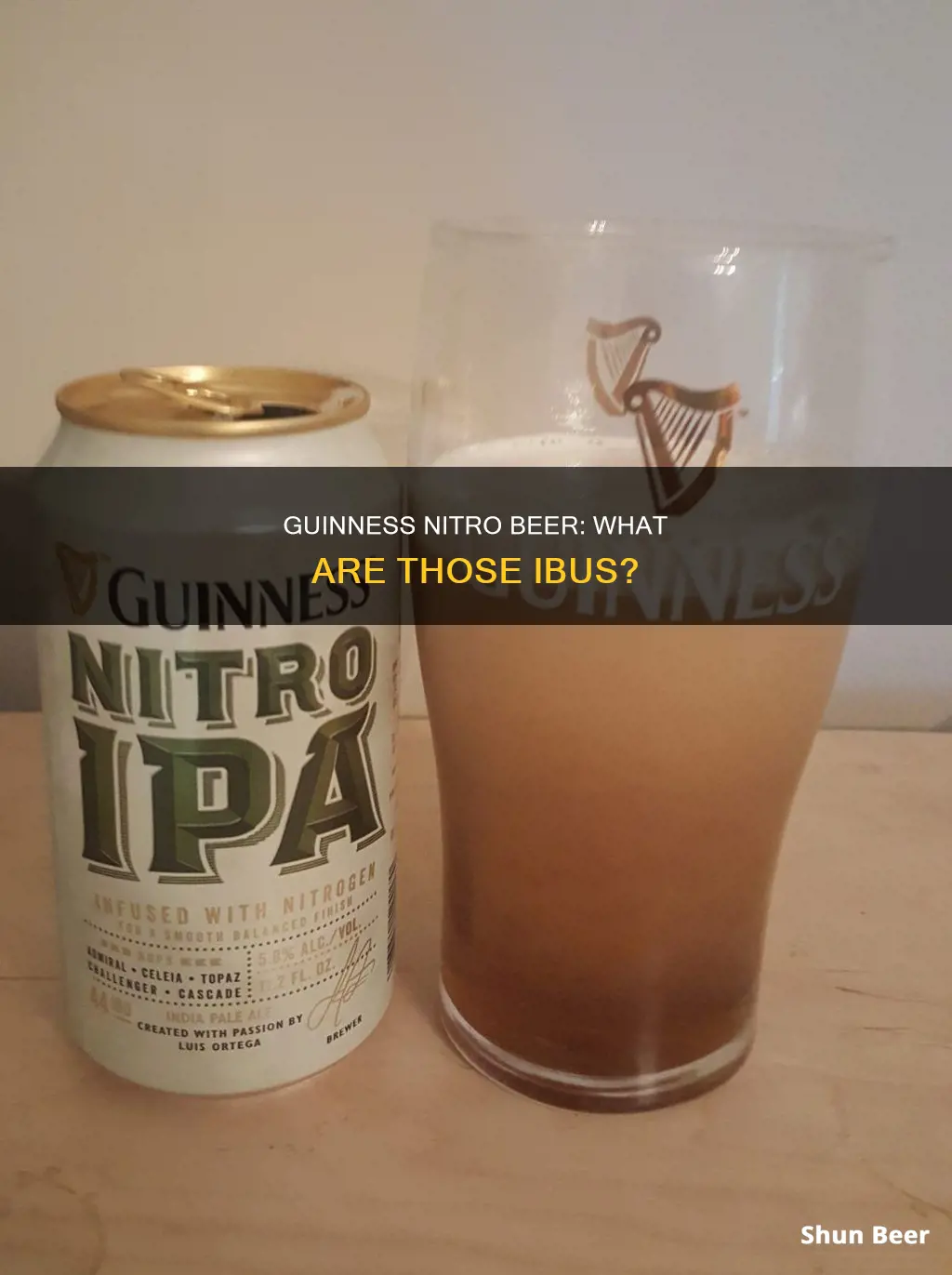 what are the ibus on a guinness nitro beer