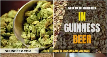 Guinness Beer Ingredients: A Magical Brew's Secret