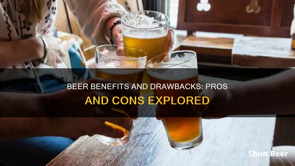 what are the pros and cons of drinking beer